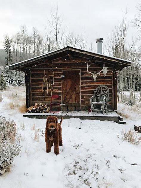 Come along as we road trip through Colorado! From a Trapper Cabin in Walden to Colorado National Monument, we explore the best that Colorado has to offer! Trapper Cabin, Trappers Cabin, Log Cabin Living, Little Cabin In The Woods, Wooden Cabin, Small Log Cabin, Cabin Tiny House, Hunting Cabin, Tiny Cabins