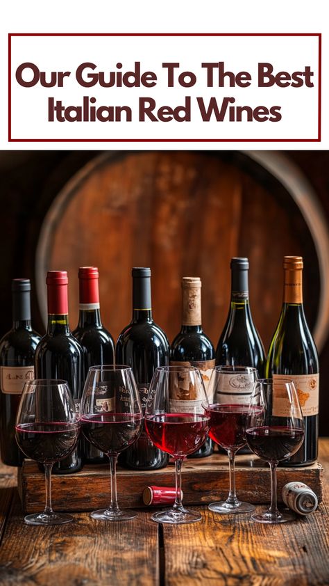 A variety of Italian red wines displayed on a rustic wooden table, featuring bottles from different regions alongside glasses filled with rich red wine. Barbera Wine, Montepulciano Wine, Lambrusco Wine, Sangiovese Wine, Sparkling Red Wine, Wine Variety, Grape Uses, Best Red Wine, Wine Knowledge