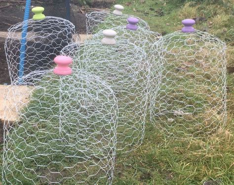 Chicken Wire Garden, Chicken Wire Diy, Chicken Wire Crafts, Garden Cloche, Plant Cages, Raised Vegetable Gardens, Building Raised Garden Beds, Allotment Gardening, Chicken Cages