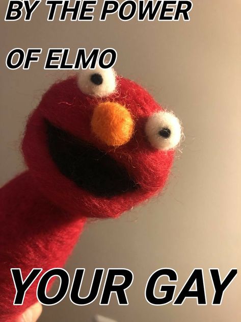 Elmo Memes, Elmo Wallpaper, Coffee Pics, Elmo And Friends, Elmo World, Felt Fish, Crazy Funny Pictures, Goofy Pictures, Pfp Ideas