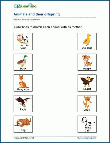 Pictures Of Baby Animals, Animals And Their Babies, Science Kindergarten, Free Science Worksheets, Bio Data For Marriage, Preschool Activities Printable, Good Study Habits, Cursive Writing Worksheets, Activities Printable