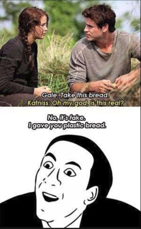 Yeah Duh Hunger Games Jokes, Hunger Games Memes, Hunger Games Fandom, Hunger Games Humor, Hunger Games Series, Hunger Games Trilogy, Mockingjay, Gaming Memes, Really Funny Memes