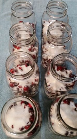 Canning Cranberry Juice, Canning Cranberry, Cranberry Preserves, Canned Cranberries, Canning Fruit, Cranberry Jam, Canning Pickles, Home Canning Recipes, Canned Foods