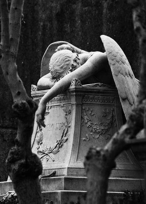 Foto Muro Collage, متحف فني, Gambar One Direction, Istoria Artei, Greek Statues, Cemetery Art, Greek Sculpture, Angel Statues, Gray Aesthetic