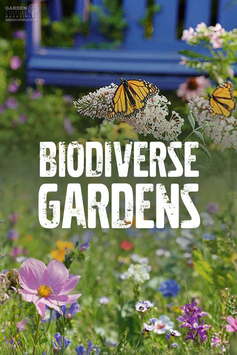 Biodiverse Gardens Improve Pollination, Harvests, and Pest Control Biodiversity Garden Design, Bio Diverse Garden, Biodiversity Garden Ideas, Biodiverse Garden, Maine Gardens, Biodiversity Garden, Echinacea Garden, Biointensive Gardening, Soil Microorganisms