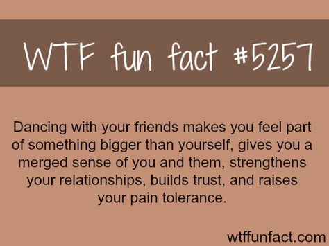 Dancing with friends - WTF fun facts Dancing With Friends, What The Fact, Strange Facts, Wow Facts, Facts Funny, Education Humor, Crazy Facts, Cool Facts, Interesting Information