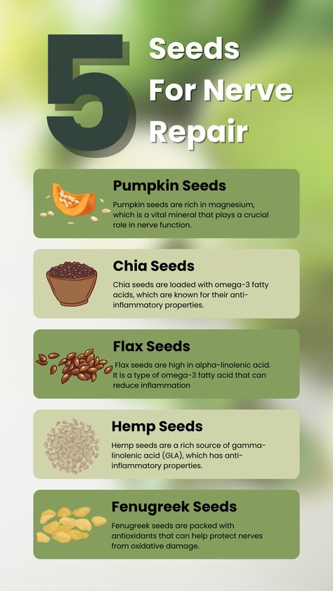 Seeds that repair nerve, seeds for nerve repair, healthy seeds Natural Remedies For Nerve Damage, Heal Nerve Damage, Nerve Damage Remedies, Nerve Repair, Food Remedies, Nerve Problems, Egg Quality, Sick Remedies, Holistic Diet