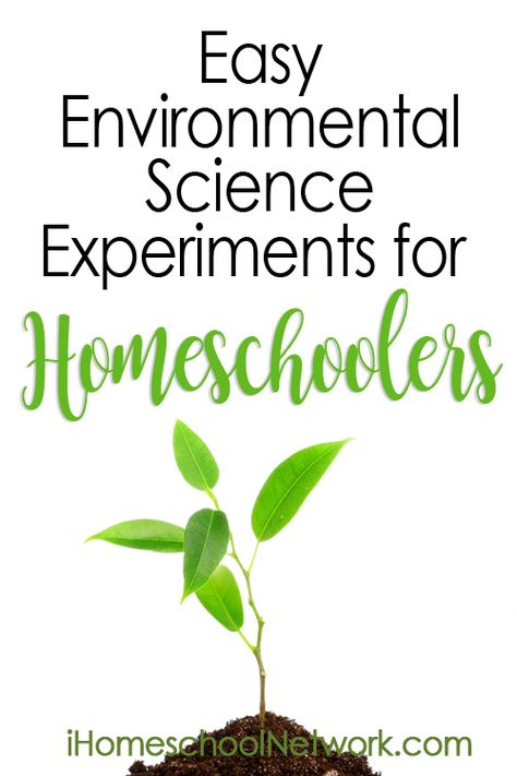 Easy Environmental Science Experiments for Homeschoolers Environmental Science Projects, Environmental Science Activities, Environmental Science Lessons, Environmental Science Major, Environmental Studies, Teaching Biology, Environmental Education, Science Curriculum, Homeschool Science