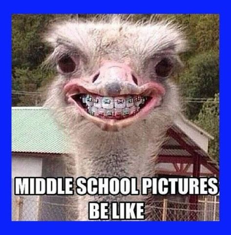 29 Middle School Memes That'll Transport You Back To The Horrors Of Your Preteen Years - Memebase - Funny Memes Middle School Memes, The Horrors, School Memes, School Pictures, Laughing So Hard, Middle School, Funny Memes, Humor, Memes