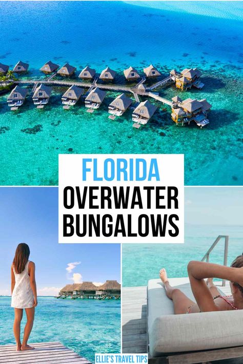 27 Luxury Overwater Bungalows in Florida (2024 Updates!) Over Water Bungalow Affordable, Over The Water Bungalow, Bungalow Resorts, Water Bungalow, Overwater Bungalows, Florida Resorts, Beach Bungalows, Top Travel Destinations, Spa Services