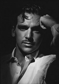 Famous Portrait Photographers, Douglas Fairbanks Jr, Klasik Hollywood, Ronald Colman, George Hurrell, Douglas Fairbanks, Famous Portraits, Hollywood Men, Katharine Hepburn