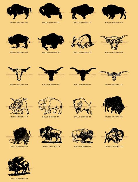 Dainty Buffalo Tattoo, Buffalo Tattoo Ideas, Bison Tattoo, Bison Photo, Buffalo Tattoo, Bison Logo, Stag Tattoo, Bison Art, Buffalo Art