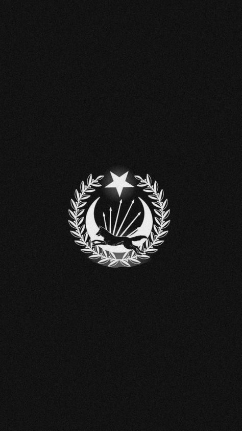 Whatsapp Profile Picture, The Turk, Wallpaper Iphone, Profile Picture, Soldier, Logo Design, Flag, Iphone, Tattoos