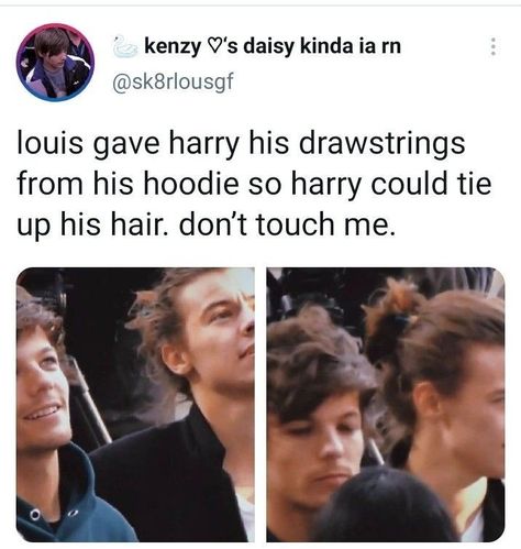 Larry Tomlinson, One Direction Jokes, One Direction Facts, Princess Parking, Larry Shippers, Just Deal With It, One Direction Harry Styles, One Direction Photos, Louis (one Direction)