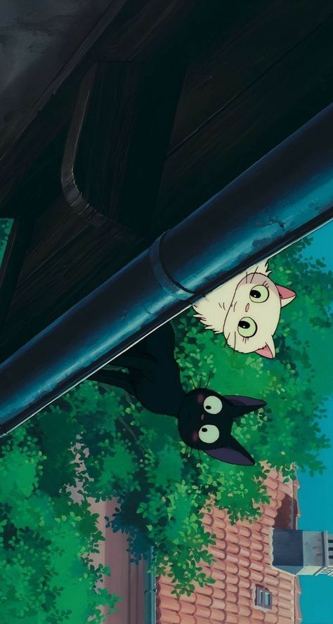 Kiki's Delivery Service Cat Wallpaper, قلعة هاول المتحركة, Kiki Cat, Characters From Movies, Hilarious Stories, 헬로키티 배경화면, Studio Ghibli Background, Anime Show, Hilarious Tweets