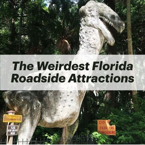 Florida Vacation Spots, List Journal, Bucket List Journal, Map Of Florida, Moving To Florida, Fort Myers Florida, Roadside Attractions, Florida Vacation, Sunshine State