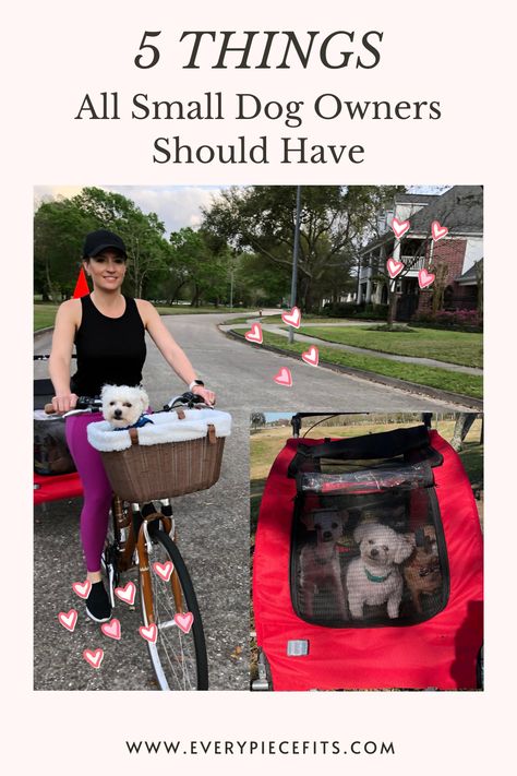 5 THINGS all small dog owners should have, 5 must haves, the best things for small dogs Small Dog Must Haves, Dog Mom Life, Pet Stairs, Pet Playpen, Bike Trailer, Pet Sitting, Pet Stuff, Crazy Dog, Pet Carriers