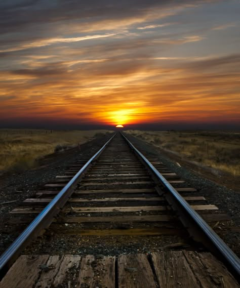 Caminos de hierro Road Pics, Sunrise Photos, Sun Setting, Beautiful Sunrise, Train Tracks, Chiaroscuro, A Train, Beautiful Sunset, Busan