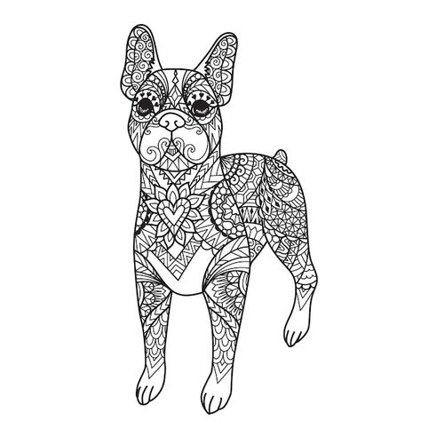 Color Images, Boston Terrier Dog, Boston Terriers, Dog Images, Terrier Dog, Dog Print, Colour Images, Adult Coloring, Boston Terrier