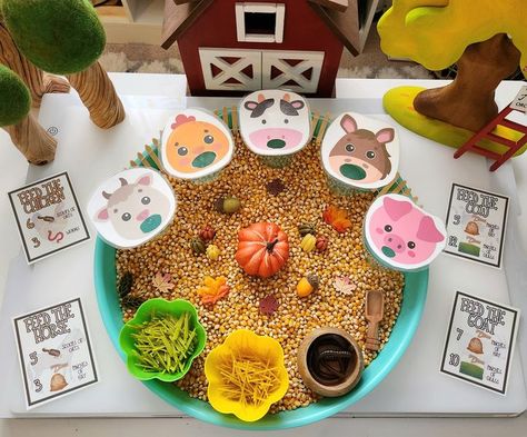 Feed The Animals Sensory Bin, Farm Sensory Activities, Farm Animal Sensory Bin, Feed The Farm Animals, Farm Sensory Play, November Themes, Farm Activities Preschool, Farm Animals Preschool, Farm Animals Activities