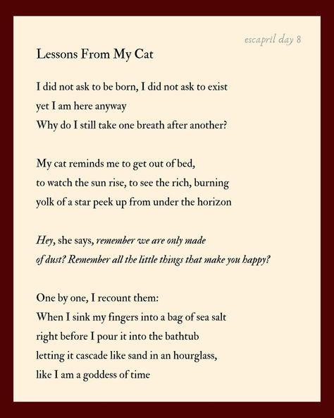 escapril day 8 — what’s the truth? my cat somehow made her way into this poem without my meaning to, so here’s a cute lil kitty photo dump! i first met her in the woods 4 months ago now! 🥹 Cat Poems, An Apology, Getting Out Of Bed, Without Me, 4 Months, My Cat, She Said, Cat Photo, In The Woods