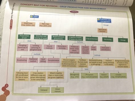 Crop Production And Management, 30 Day Song Challenge, Crop Protection, Crop Production, Agricultural Practices, Solid Waste, Concept Map, Class 8, Class Management