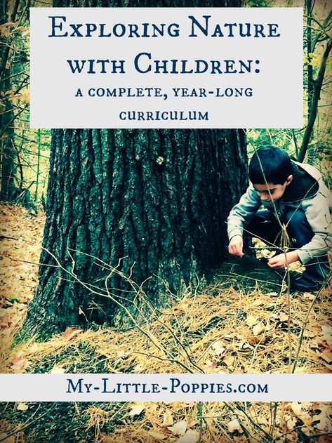 homeschool, homeschooling, education, nature study, charlotte mason, nature exploration, parenting Forest Kindergarten, Nature Games, Homeschool Nature Study, Diy Nature, Forest School Activities, Nature Education, Nature School, Exploring Nature, Outdoor Education