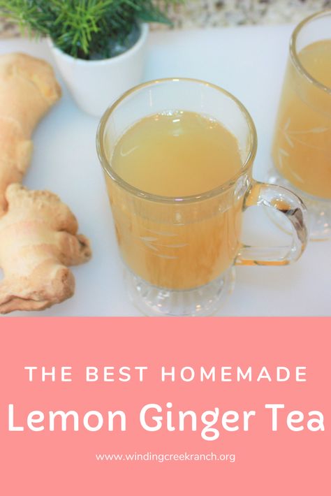 Click here to learn how to make the best homemade lemon ginger tea ever - Bonus - FREE recipe of lemon ginger tea with variations included! This recipe is very quick and easy, but so FULL of flavor.  There are so many different tea recipes out there, but let me persuade you to try this recipe, you won't be disappointed! Ginger has many health benefits, and is very comforting on a cold winter day. Give it a try! Ginger Lemon Tea Recipe, Ginger Cinnamon Tea, Ginger Lemon Honey Tea, Cinnamon Tea Benefits, Homemade Ginger Tea, Garlic Tea, Homemade Tea Recipes, Lemon Ginger Tea, Tea With Honey