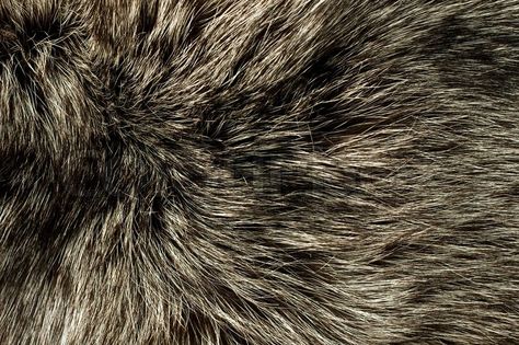 Stock photo ✓ 14 M images ✓ High quality images for web & print | Closeup of polar Fox fur One Piece Aesthetic, M Image, Pirate King, Texture Drawing, Tactile Texture, Sirius Black, Book Inspiration, Forest Animals, Quality Images