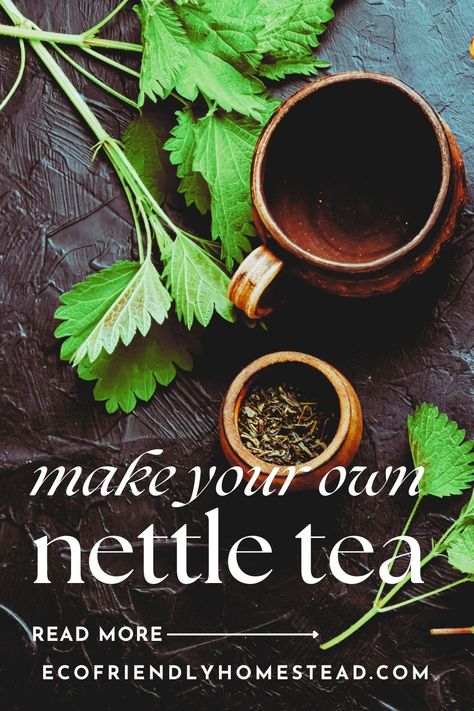 herbalism nettle tea How To Make Nettle Tea, Nettle Tea Recipe, Foraging Guide, Nettle Tea, Garden Planning Layout, Tea Recipe, Sustainable Garden, Beneficial Insects, Wild Food