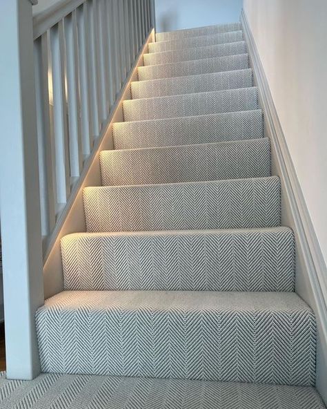 Stair Carpets Ideas Hallways, Stairs Design Carpet, Rendered Porch On Brick House, Basement Wall To Wall Carpet, Full Carpet On Stairs, Stairs And Hallway Ideas Modern, Hallway Stairs Carpet Ideas, Hall Stairs Carpet Ideas, Carpeted Hallway Ideas