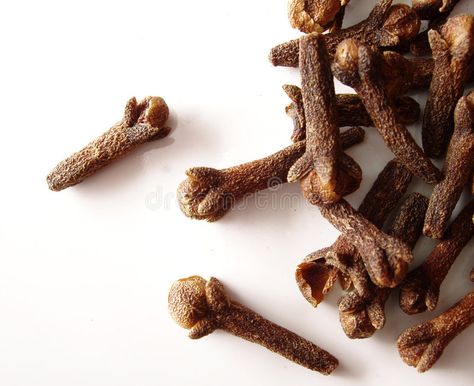 Cloves. On white background , #Sponsored, #Cloves, #white, #background #ad Clove Bud Essential Oil, Clove Bud, Aromatherapy Gifts, Geranium Essential Oil, Parts Of A Plant, Oil Diffuser Blends, Aromatherapy Oils, Essential Oils Aromatherapy, Natural Healing