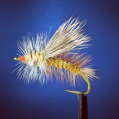 Fly Fishing Colorado, Trout Fishing Lures, Fly Tying Desk, Caddis Flies, Tying Flies, Rolling Tool Box, Trout Fishing Tips, Steelhead Flies, Fly Fishing Flies Pattern