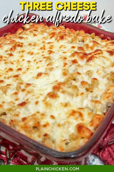 Three Cheese Chicken Alfredo Bake - Plain Chicken Macaroni Alfredo, Chicken Alfredo Bake Recipe, Alfredo Bake, Chicken Alfredo Bake, Chicken Alfredo Recipes, Alfredo Sauce Recipe, Cheese Chicken, Pasta Casserole, Alfredo Recipe