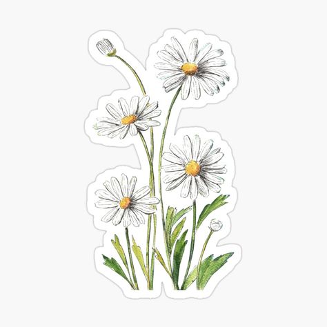 Polaroid Wall, White Daisies, Flowers Watercolor, Background Vintage, Diy Stickers, Aesthetic Stickers, Scrapbook Stickers, Digital Sticker, Daisy Flower