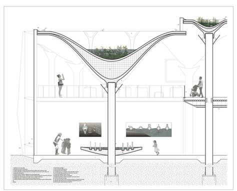 Water Column Design, Ocean Levels, Canopy Structure, Architecture Section, Sponge City, Terminal Bus, Wall Section, Curtin University, Canopy Architecture