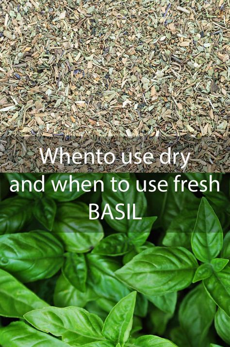 Learn what types of recipes are best for dry basil and what types need fresh Dried Basil Recipes, Dried Basil, How To Dry Basil Leaves, How To Dry Fresh Basil Leaves, How Do You Dry Fresh Basil, Preserve Basil Leaves Fresh Herbs, Mushroom Sauce Steak, Dried Basil Leaves, Cooking Tutorials