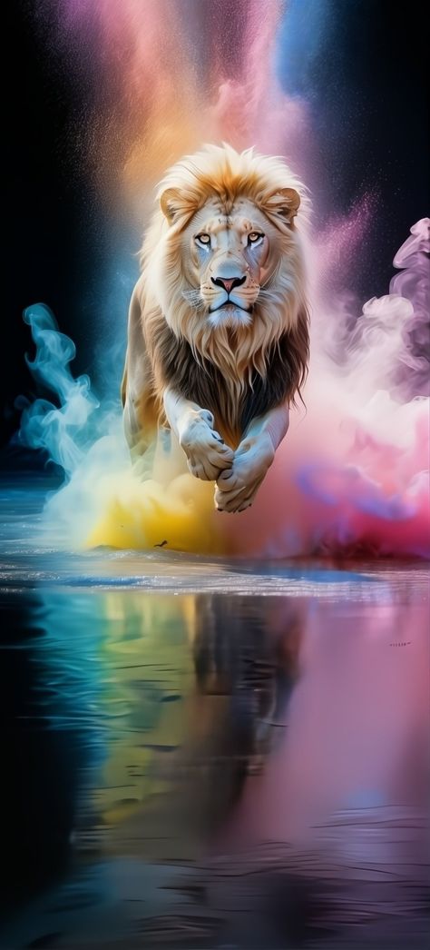 Pictures Of Pets, Animals In The Wild, Lion Of Judah Jesus, Wild Animal Wallpaper, Lion Artwork, Dream Catcher Art, Lions Photos, Phone Background Patterns, Lion Wallpaper