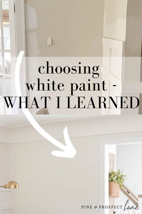 The Best White Paint For Walls, 2023 White Paint Colors, Favorite White Paint For Walls, White Wall Colors Sherwin Williams, Tulle White Paint Color, Wherein Williams White, Best White Paint For Kitchen Walls, Painters White Behr Paint, Different White Paint Colors