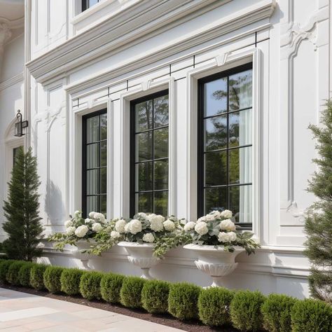 French Doors Across Front Of House, Architectural Mouldings Exterior, French Chateau Patio, French Chateau Landscaping, Large Front Windows Exterior, French Garden Backyard, Awnings Over Doors Entrance, French Provincial Facade, French Windows Exterior