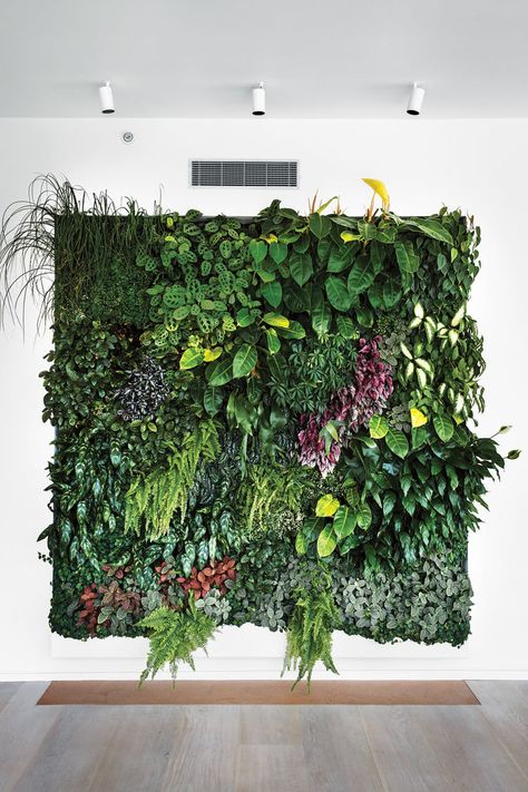 Indoor square living wall Living Wall Indoor, Living Green Walls, Living Wall Planter, Indoor Plant Wall, Urban Apartment, Vertical Garden Wall, Indoor Vegetable Gardening, Walled Garden, Have Inspiration