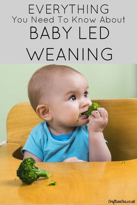 Everything you need to know about Baby Led Weaning! What is it, will it work for your kids and what do you need to do! Weaning Guide, Spoon Feeding, Baby Led Weaning First Foods, Baby Led Weaning Recipes, Weaning Recipes, Introducing Solids, Newborn Hacks, 6 Month Old Baby, Baby Weaning