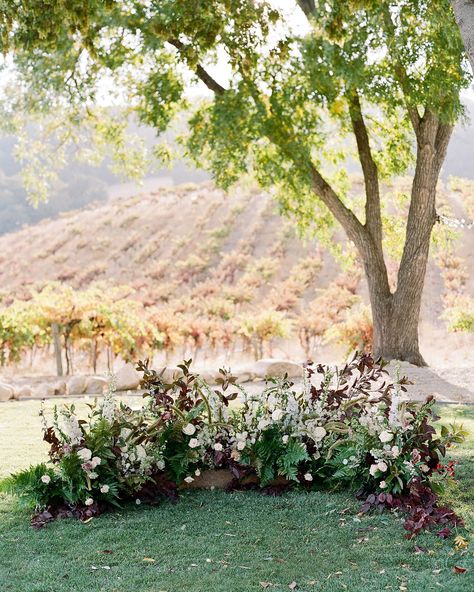 wedding ground floral arch dark hued blooms Grounded Floral Arches, Floral Arches, Beachy Wedding, Chic Vintage Brides, Wedding Ceremony Arch, Ceremony Design, Grass Wedding, Flower Studio, Beautiful Wedding Venues