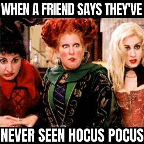 sanderson sisters meme - when a friend says they've never seen hocus pocus Halloween Meme, Hate Summer, Spooky Memes, Fall Memes, Halloween Memes, Memes Humor, Disney Memes, Autumn Vibes, Cool Halloween Costumes