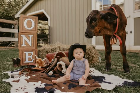 1 Year Cow Pictures, Western Cake Smash Photography, Rodeo Cake Smash Photo, One Year Old Cow Photoshoot, Cow Smash Cake Photoshoot, First Birthday Cow Photoshoot, 1st Birthday Cowboy Pictures, My First Rodeo Birthday Pictures, Cowboy 1st Birthday Photoshoot