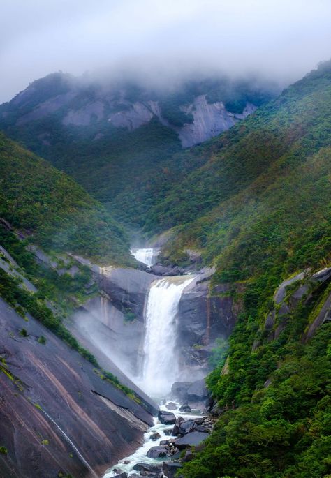 Japanese Scrapbook, Yakushima, Beautiful Hikes, Green Planet, Travel Japan, Travel Log, Japan Trip, Kyushu, Future Travel