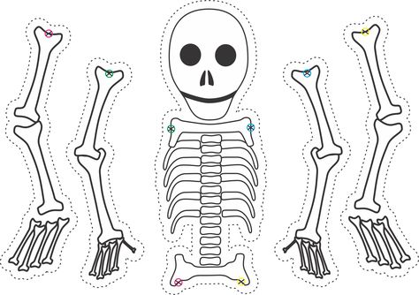 Dry bones skeleton puppet template; for Ezekiel Bone Activities, Ezekiel Dry Bones, Ezekiel Bible, Skeleton Puppet, Puppet Template, Skeleton Craft, Dry Bones, Bible Crafts For Kids, Sunday School Activities