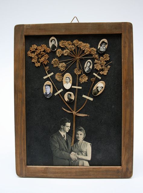 Family Tree Diy, Diy Family Tree, Ancestry Art, Unique Family Tree, Family Tree Ideas, Family Tree Art, Tree Art, Art Plastique, Family History