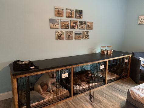 Dog Kennel Inside House, 3 Dog Kennel Ideas, Living Room With Dog Crate, Stacked Dog Crates, Multiple Dog Kennel Ideas Indoor, Large Dog Kennel Ideas Indoor, Indoor Kennels For Dogs, Dog Kennel Inside, Pets Room