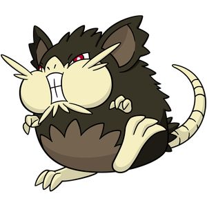 Category:Raticate - Bulbagarden Archives Alolan Raticate, Pokemon List, Alola Pokemon, Link Artwork, Team Rocket Grunt, Mewtwo Strikes Back, Mouse Pokemon, Team Skull, Material Ideas